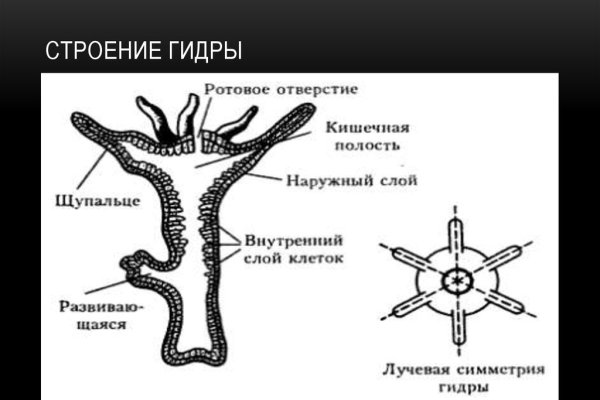 Ссылки тор браузер